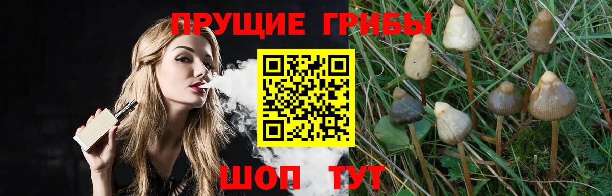 Галлюциногенные грибы мухоморы  Вход с VPN  Красный Сулин 